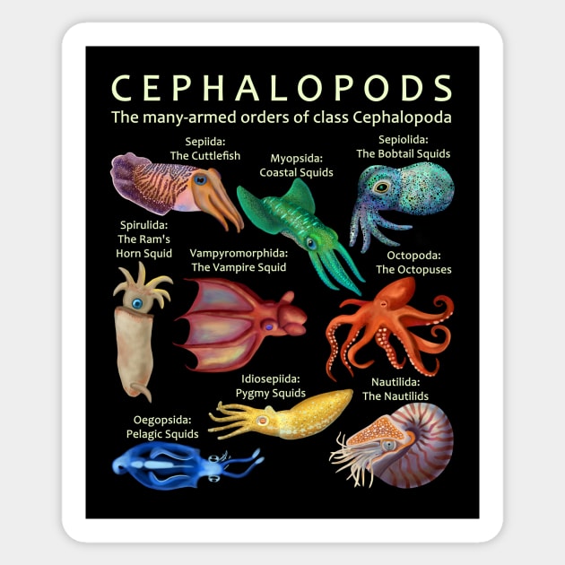 The Cephalopod: Octopus, Squid, Cuttlefish, and Nautilus Sticker by ELMayer